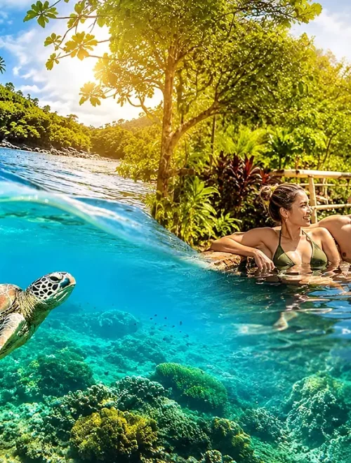 Apo Island & Valencia Day Tour