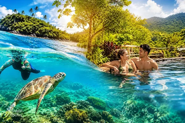Apo Island & Valencia Day Tour