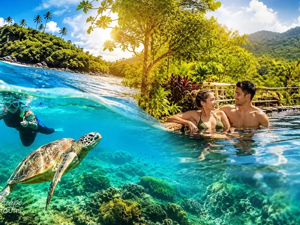 Apo Island & Valencia Day Tour