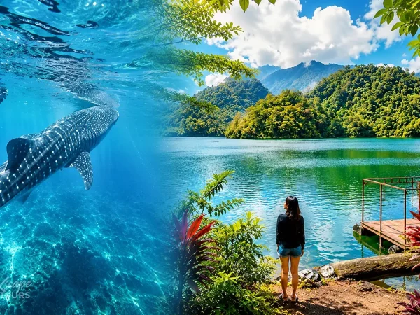Oslob Whale Sharks & Balinsasayao Twin Lakes Tour