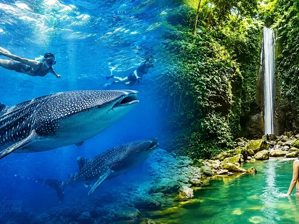 Oslob Whale Shark & Valencia Tour from Dumaguete
