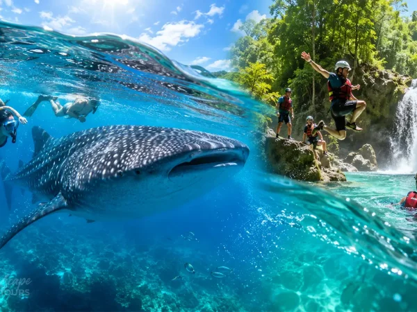Oslob Whale Shark & Kawasan Tour from Dumaguete