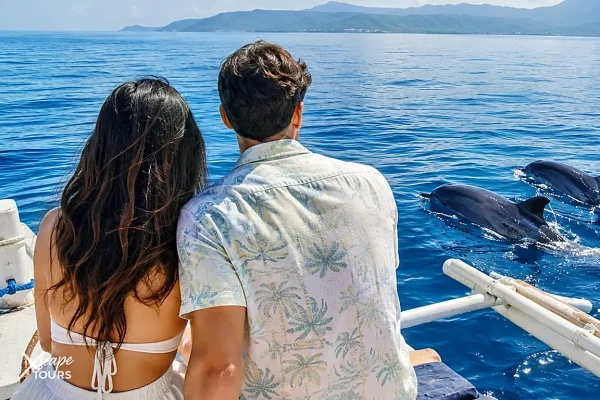 Bais Dolphin Watching & Manjuyod Sandbar Tour