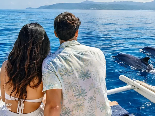 Bais Dolphin Watching & Manjuyod Sandbar Tour