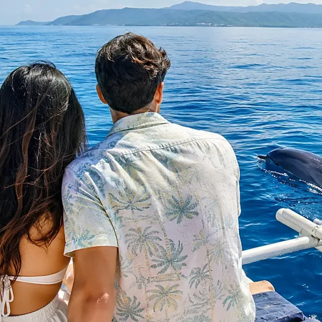 Bais Dolphin Watching & Manjuyod Sandbar Tour